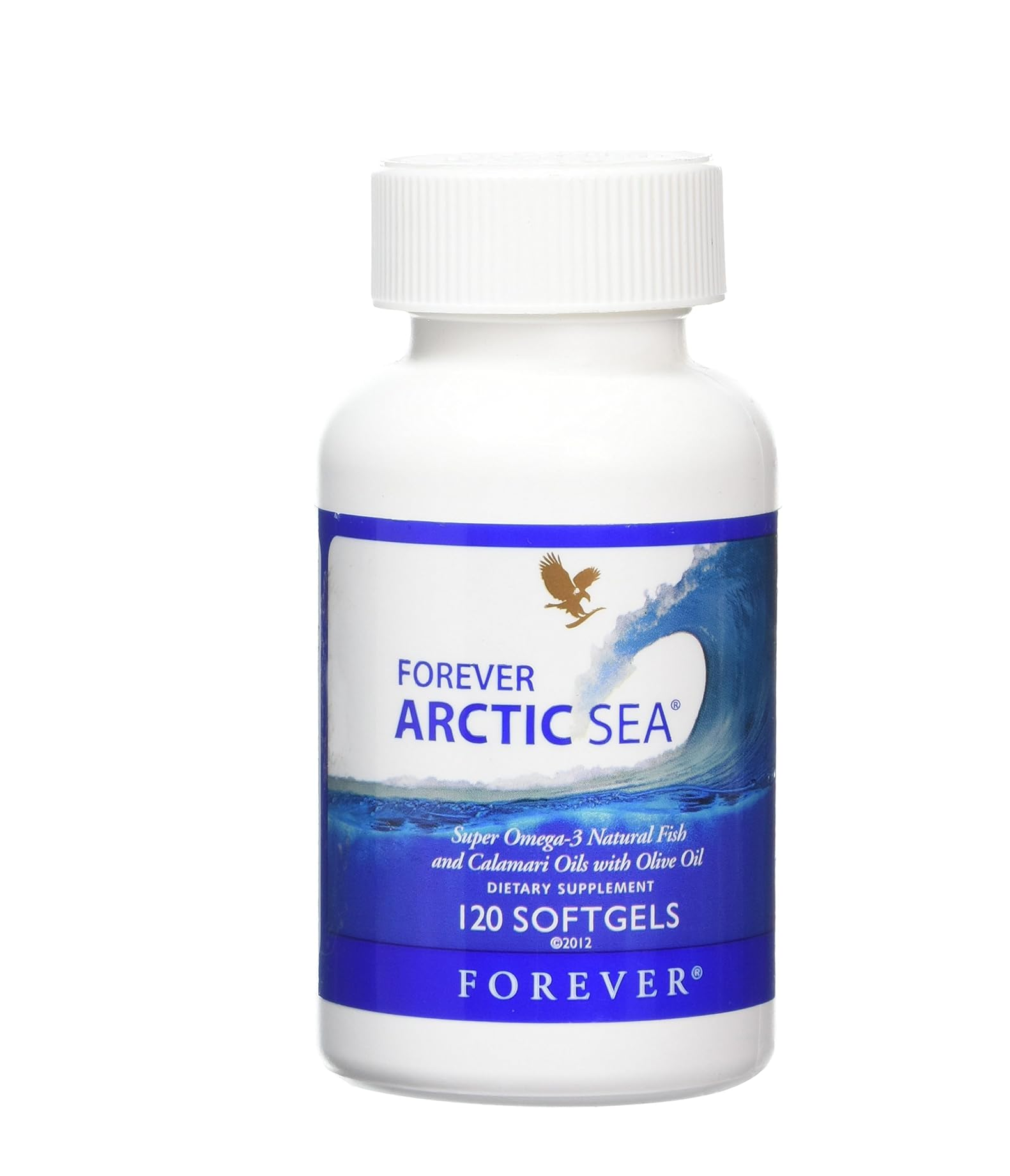 Forever Arctic Sea